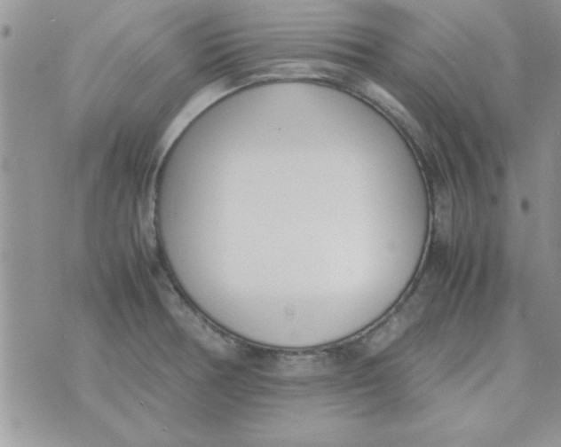 X0000074331378200609152046