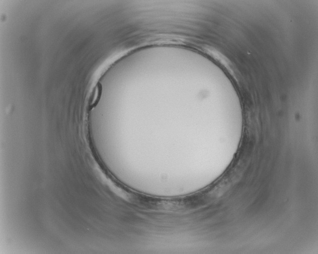 X0000074331379200609152046