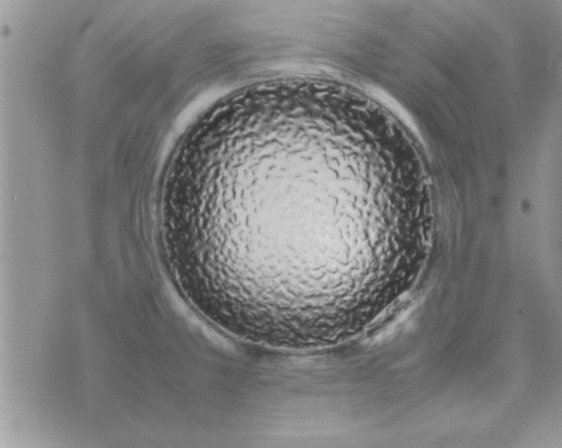 X0000074331381200609152046