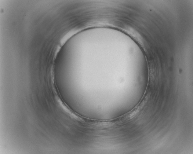 X0000074331382200609152046