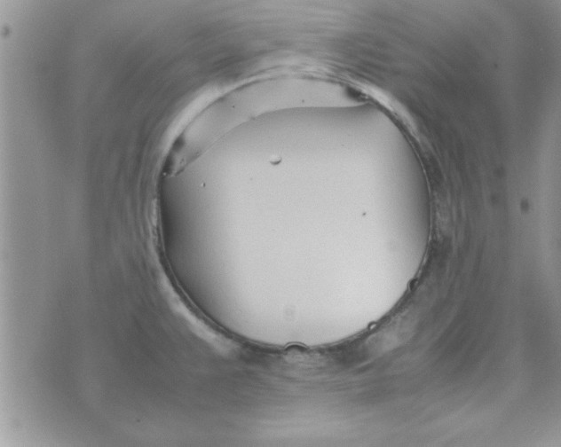 X0000074331383200609152046