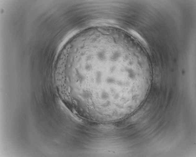 X0000074331384200609152046