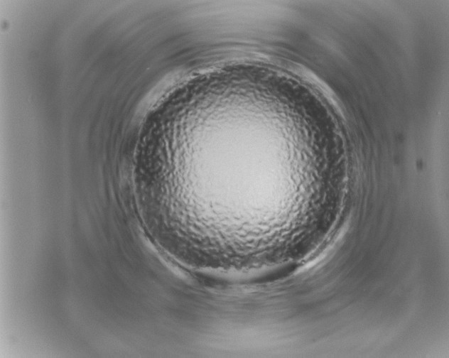 X0000074331385200609152046