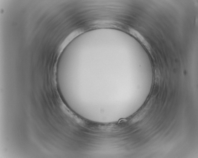 X0000074331386200609152046