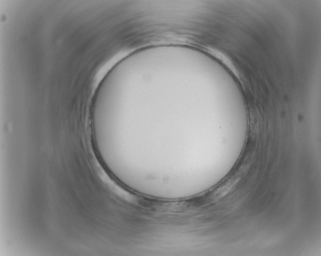 X0000074331387200609152046