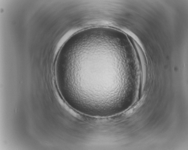 X0000074331389200609152046