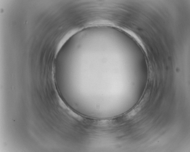 X0000074331390200609152046