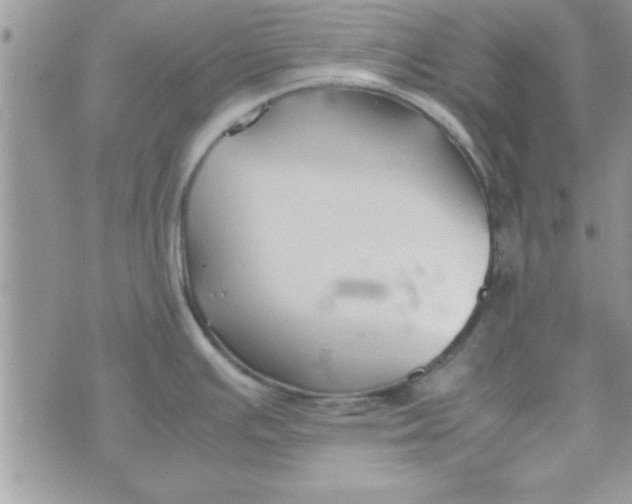 X0000074331391200609152046