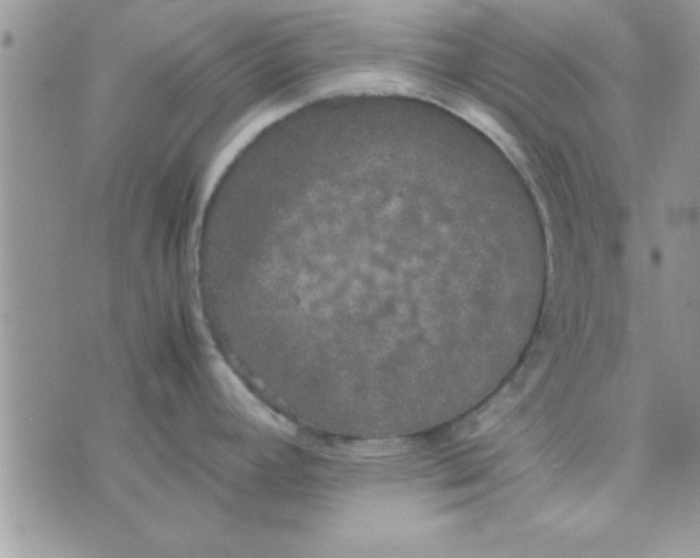 X0000074331392200609152046