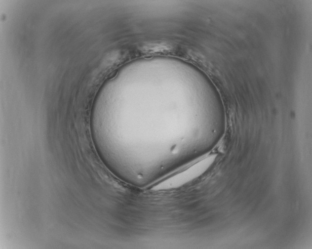 X0000074331393200609152045