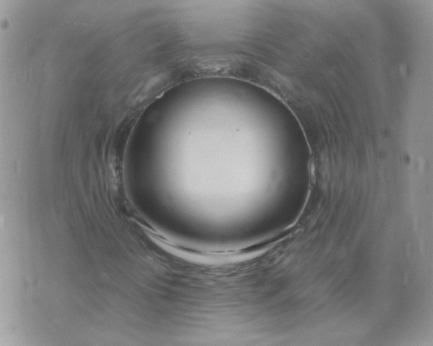 X0000074331394200609152045