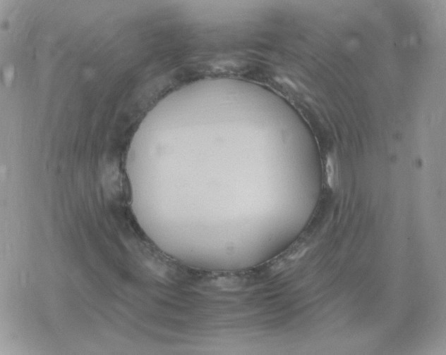 X0000074331395200609152045