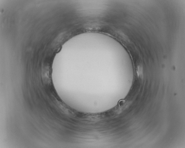 X0000074331396200609152045