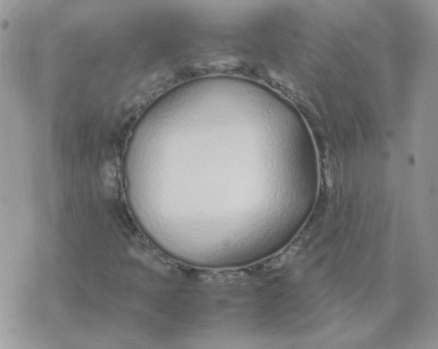 X0000074331397200609152045