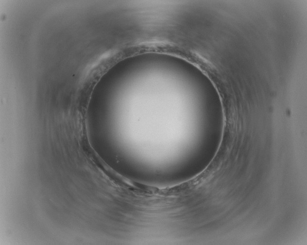 X0000074331398200609152045