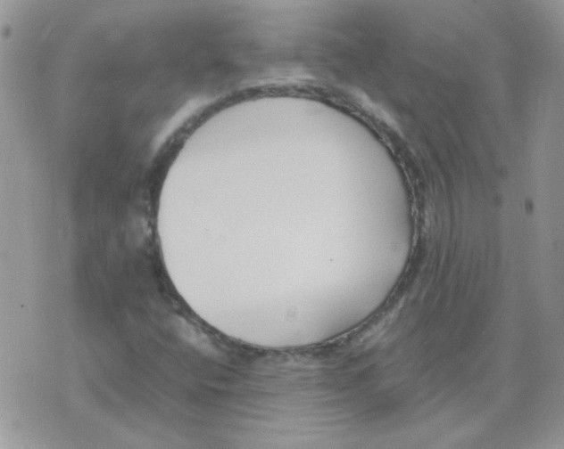 X0000074331400200609152045