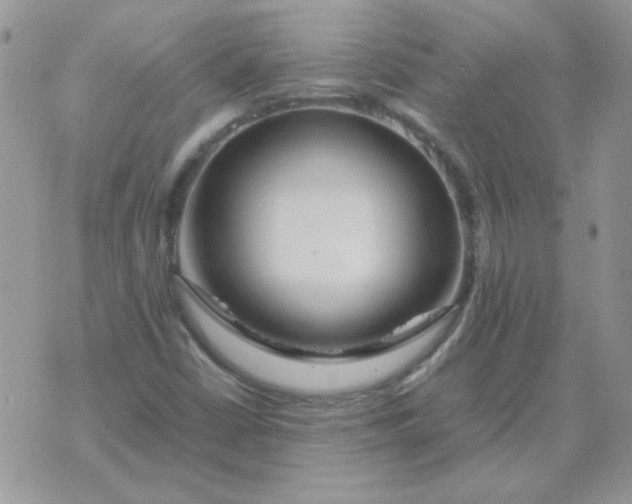 X0000074331402200609152045