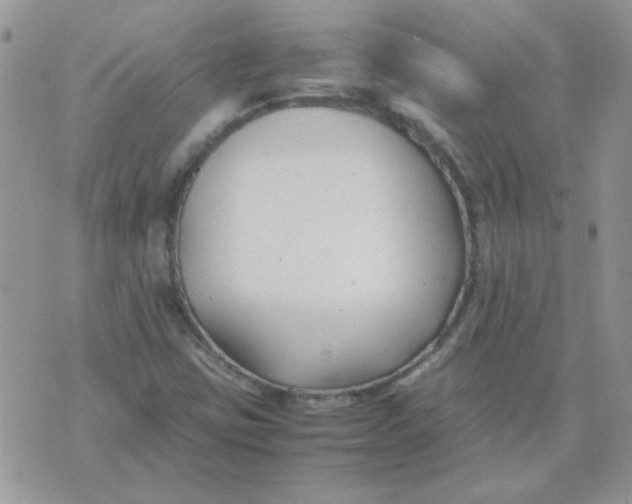 X0000074331403200609152045