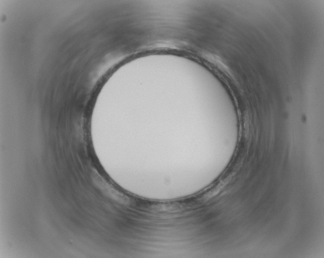 X0000074331404200609152045