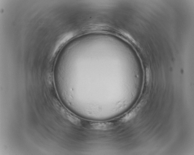 X0000074331405200609152045