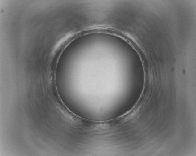 X0000074331406200609152045