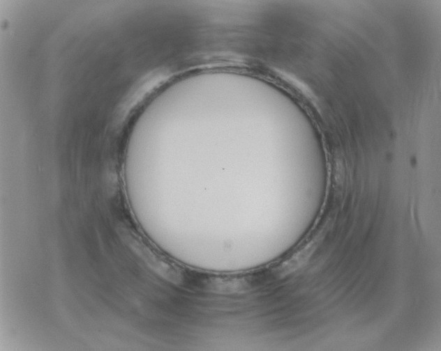 X0000074331407200609152045