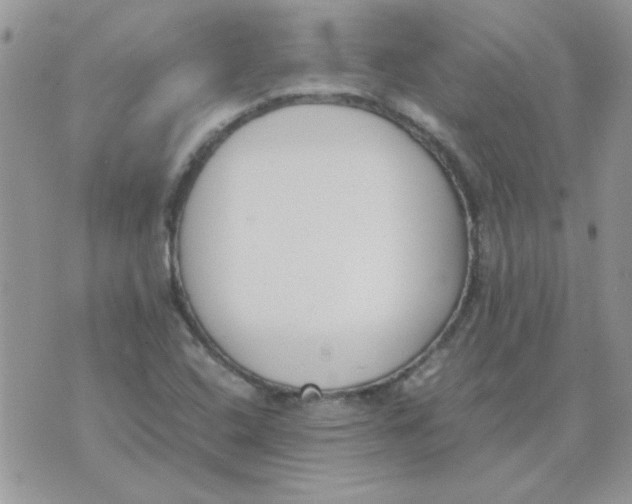 X0000074331408200609152045