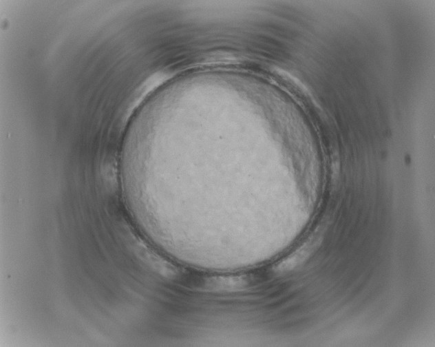 X0000074331409200609152045