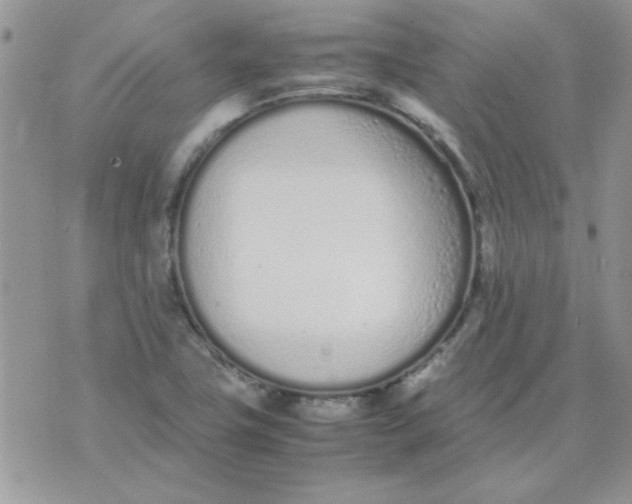 X0000074331411200609152045