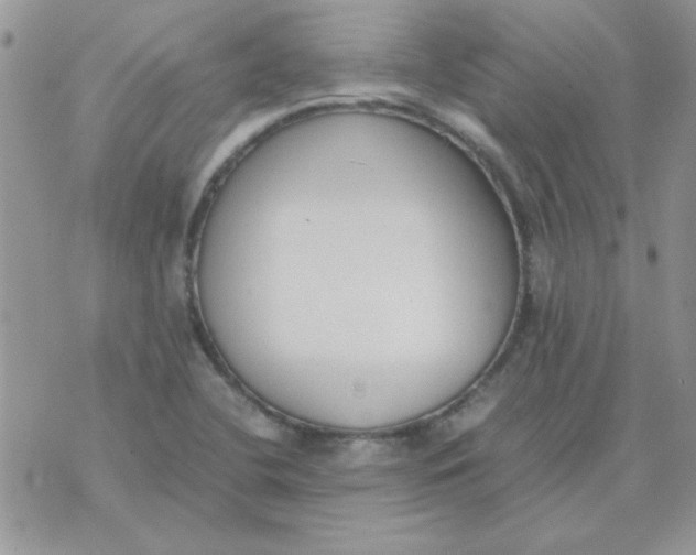 X0000074331412200609152045