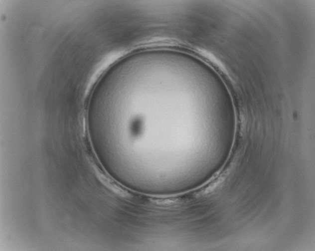 X0000074331413200609152045