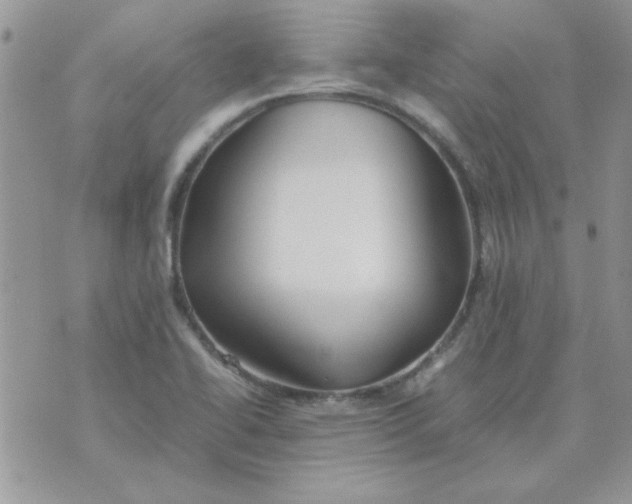 X0000074331414200609152045