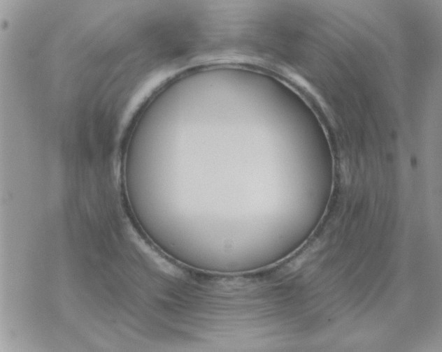 X0000074331416200609152045