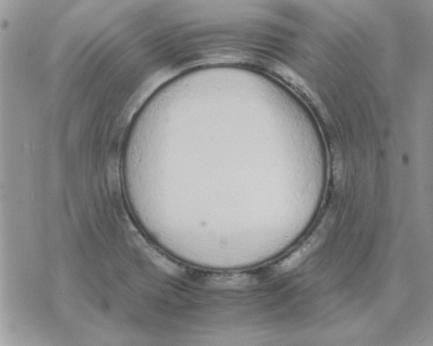 X0000074331417200609152045