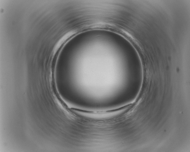 X0000074331418200609152045