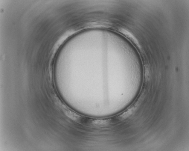 X0000074331419200609152046