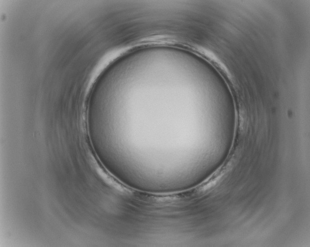 X0000074331421200609152046