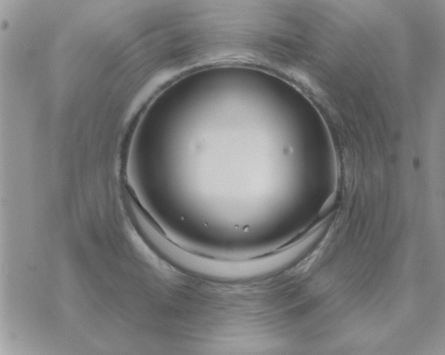 X0000074331422200609152046