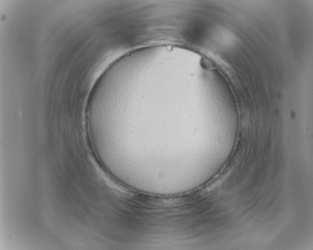 X0000074331423200609152046