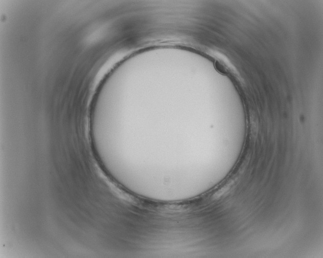 X0000074331424200609152046