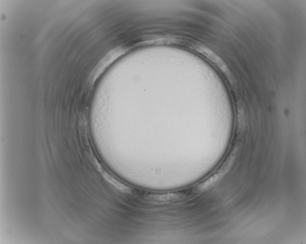 X0000074331425200609152046