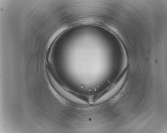 X0000074331426200609152046