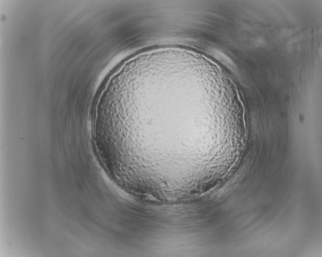 X0000074331428200609152046