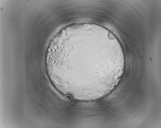 X0000074331429200609152046