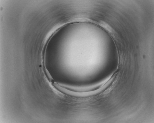 X0000074331430200609152046