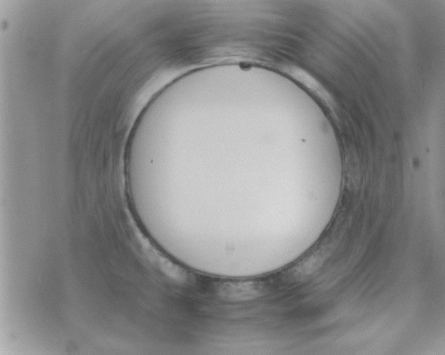 X0000074331431200609152046