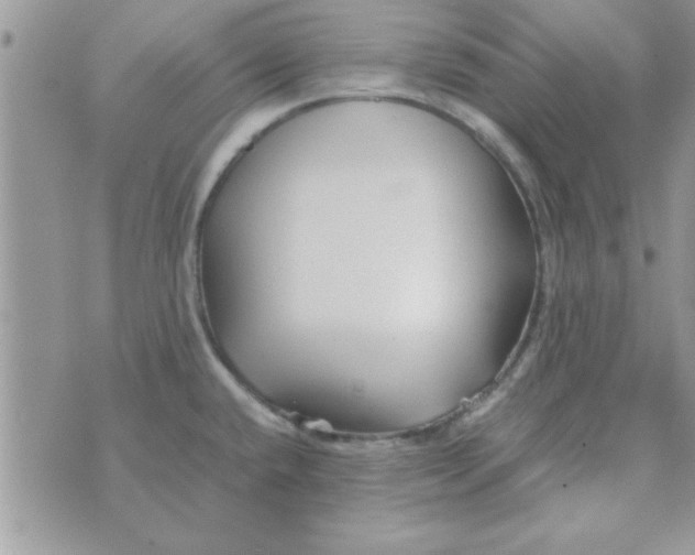 X0000074331432200609152046