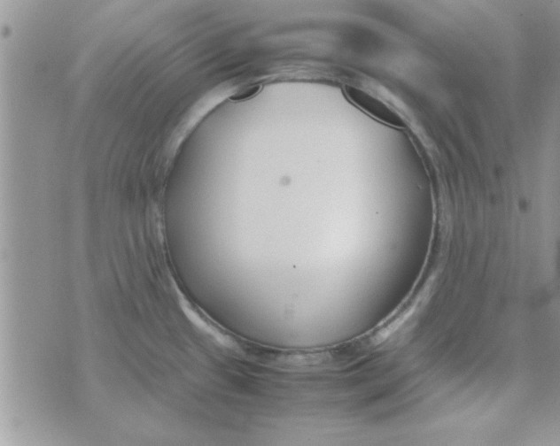 X0000074331433200609152046