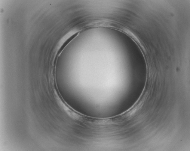 X0000074331434200609152046