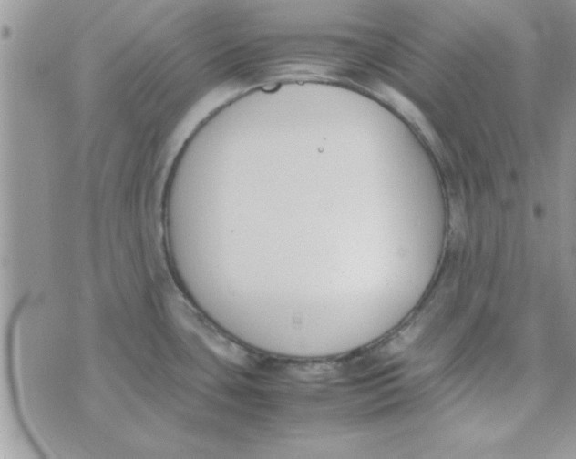 X0000074331435200609152046